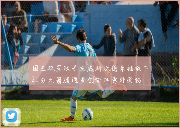 国王双星联手发威科沃德乐福砍下21分火箭遭遇重创哈珀意外受伤