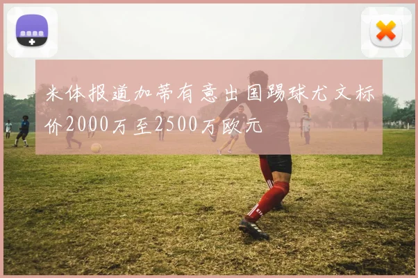 米体报道加蒂有意出国踢球尤文标价2000万至2500万欧元
